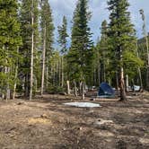 Review photo of Fall River Reservoir Dispersed Camping Trail by Danielle H., May 31, 2024