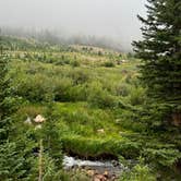 Review photo of Fall River Reservoir Dispersed Camping Trail by Haley L., August 31, 2025