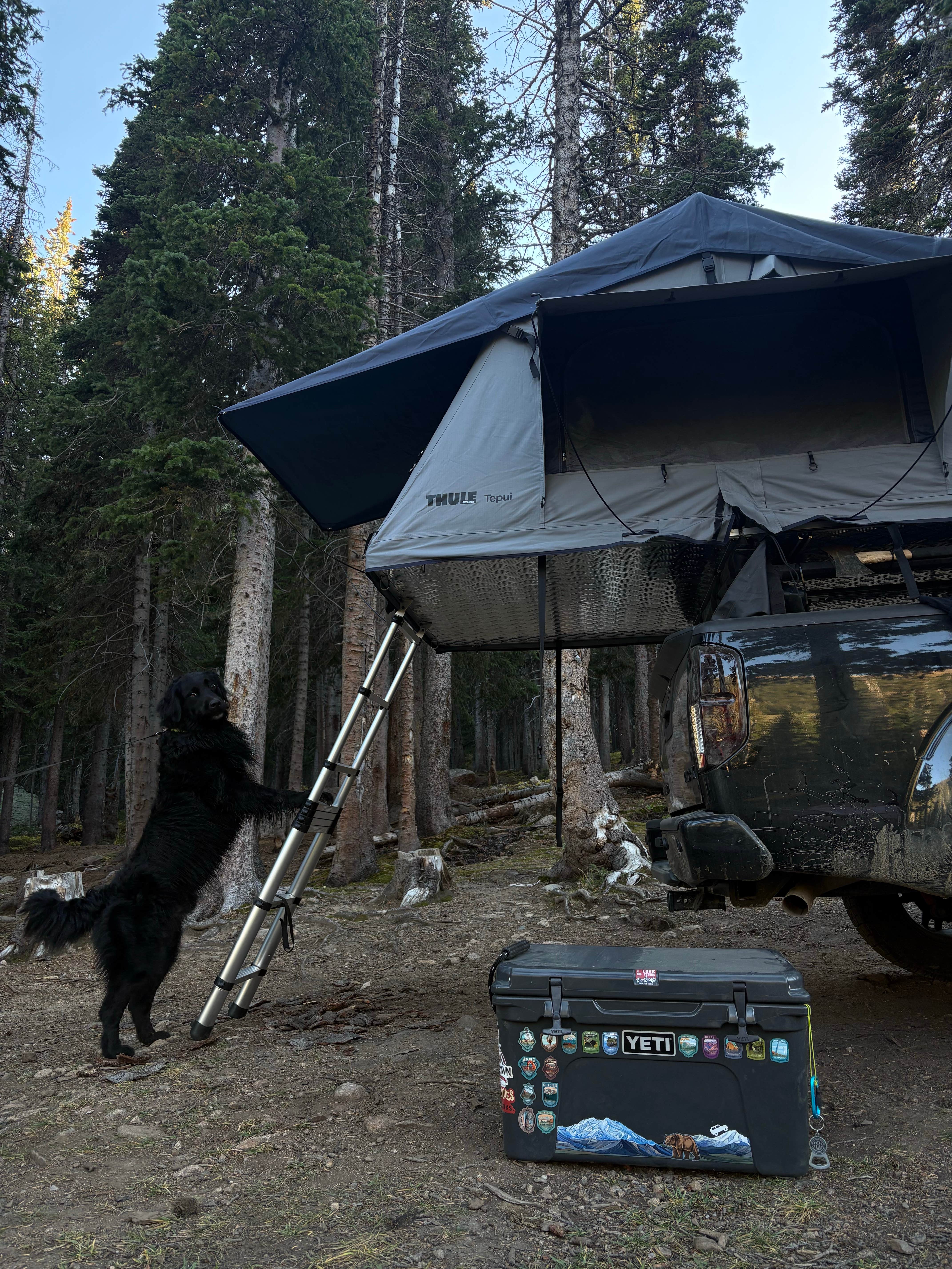 Savannah B.'s photo of tent camping at Fall River Reservoir Dispersed Camping Trail near Denver, CO