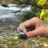 Review photo of Fall River Reservoir Dispersed Camping Trail by Dustin D., October 3, 2023