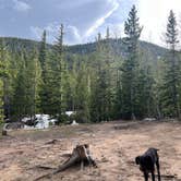 Review photo of Fall River Reservoir Dispersed Camping Trail by Danielle H., May 31, 2024