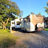 Review photo of Falling Waters Campsite by Ioan P., October 4, 2024