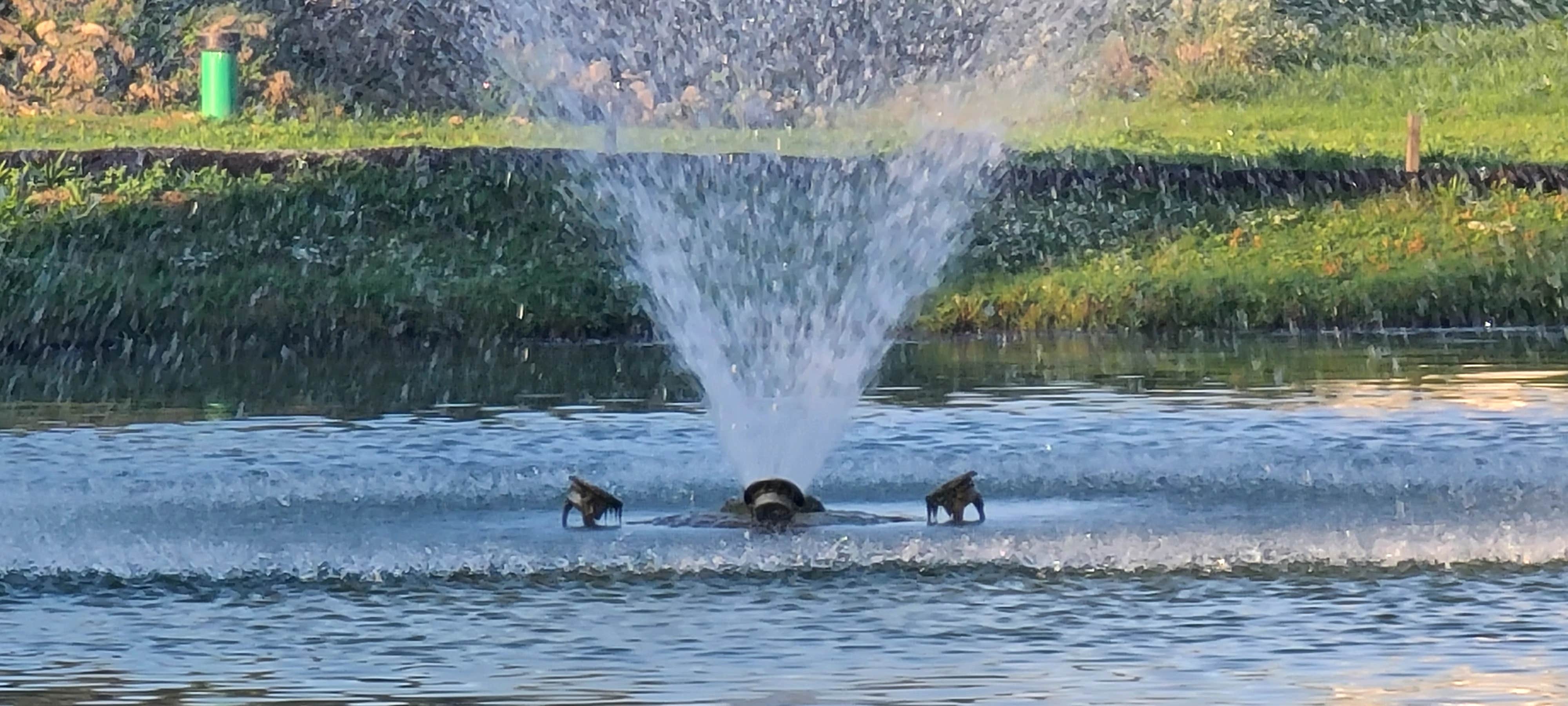 Camper-submitted photo at Falling Waters Campsite near Clear Spring, MD