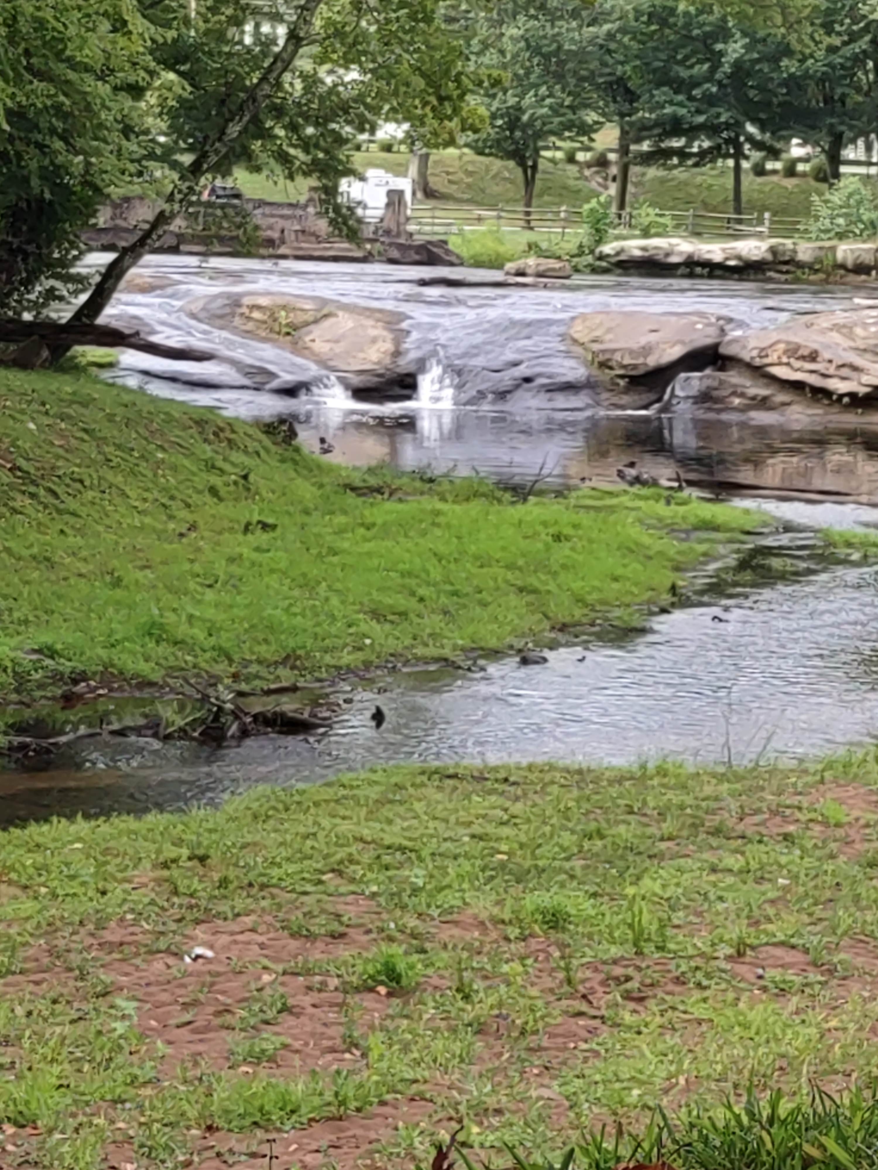Camper submitted image from Falls Campground - 4