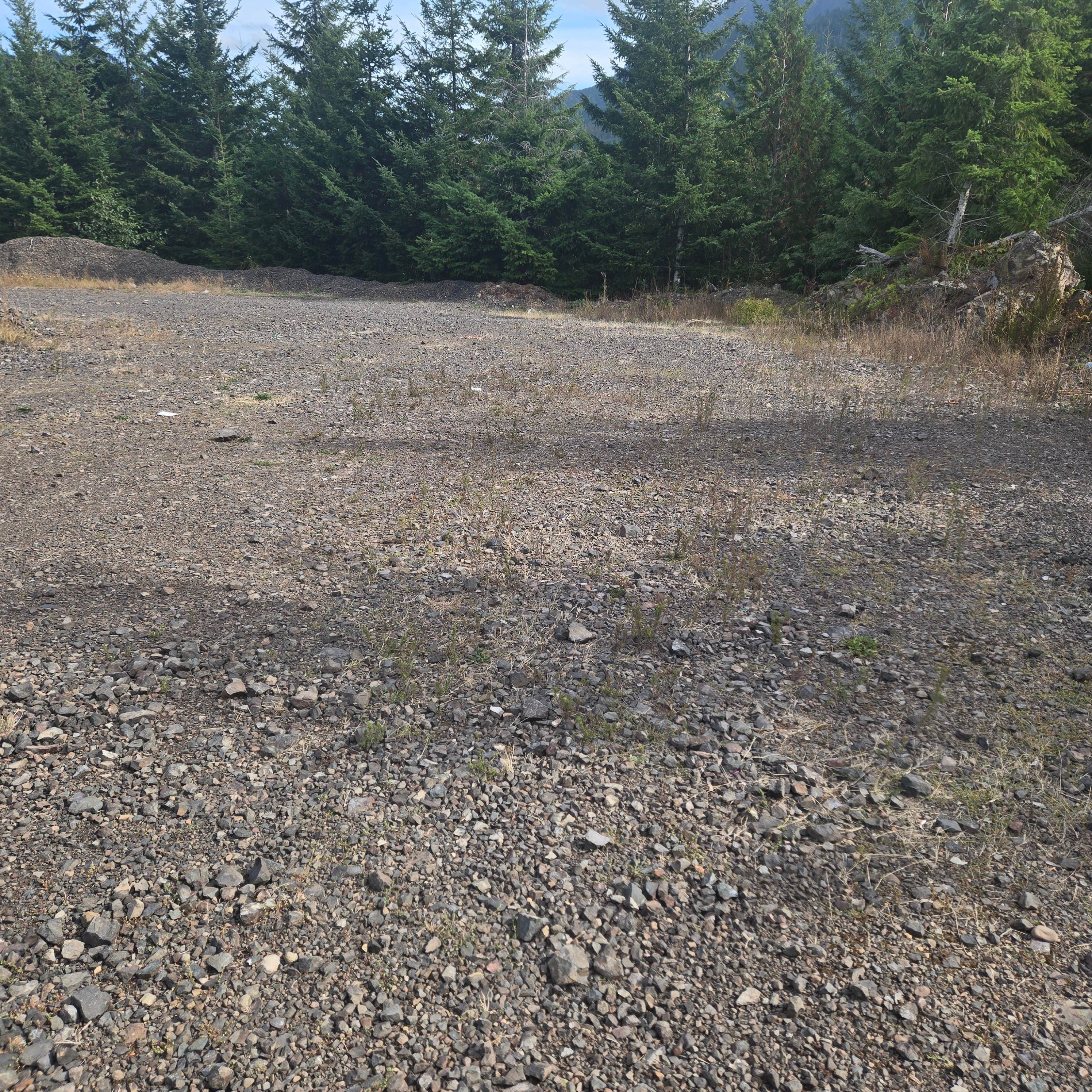 Camper-submitted photo at Falls Creek Olympic National Forest near Port Angeles, WA