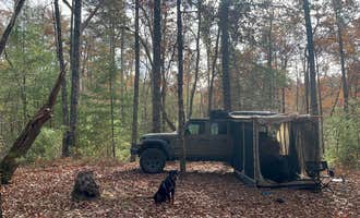 Camping near Cassidy Bridge Hunt Camp: Falls Creek, Long Creek, South Carolina