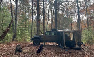 Brian's photo of camping with pets at Falls Creek near Toccoa, GA