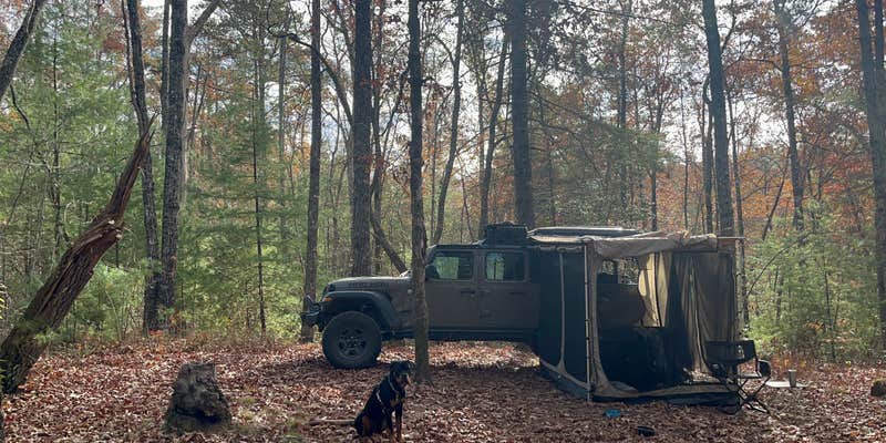 Camper submitted image from Falls Creek