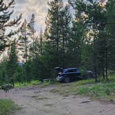 Review photo of Falls Road Dispersed Campsite by Ron D., July 30, 2025