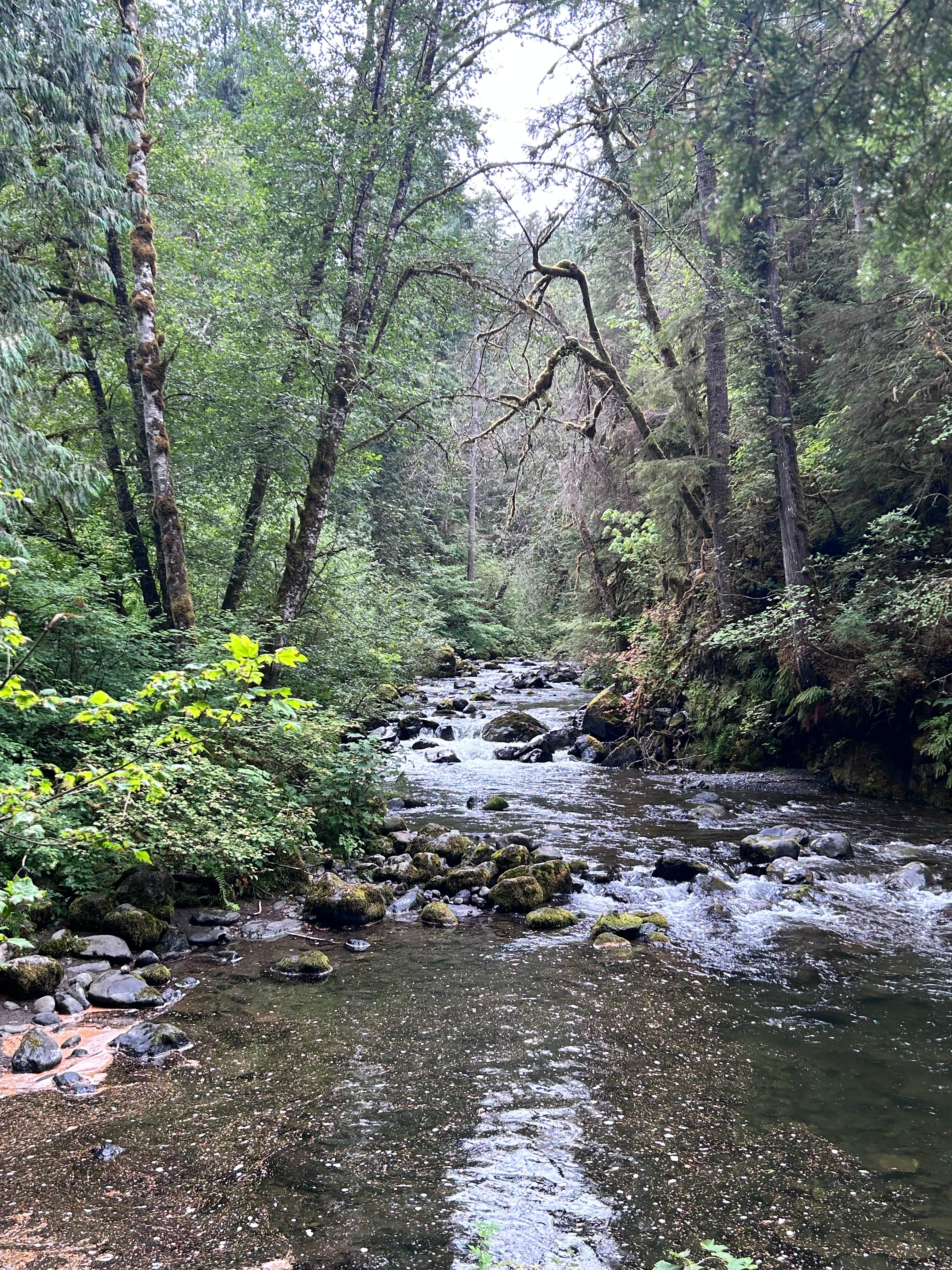 Falls View Campground