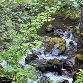 Review photo of Falls View Campground by Lori R., September 8, 2026