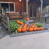 Review photo of Fancy Gap-Blue Ridge Parkway KOA by Cliff W., October 3, 2025