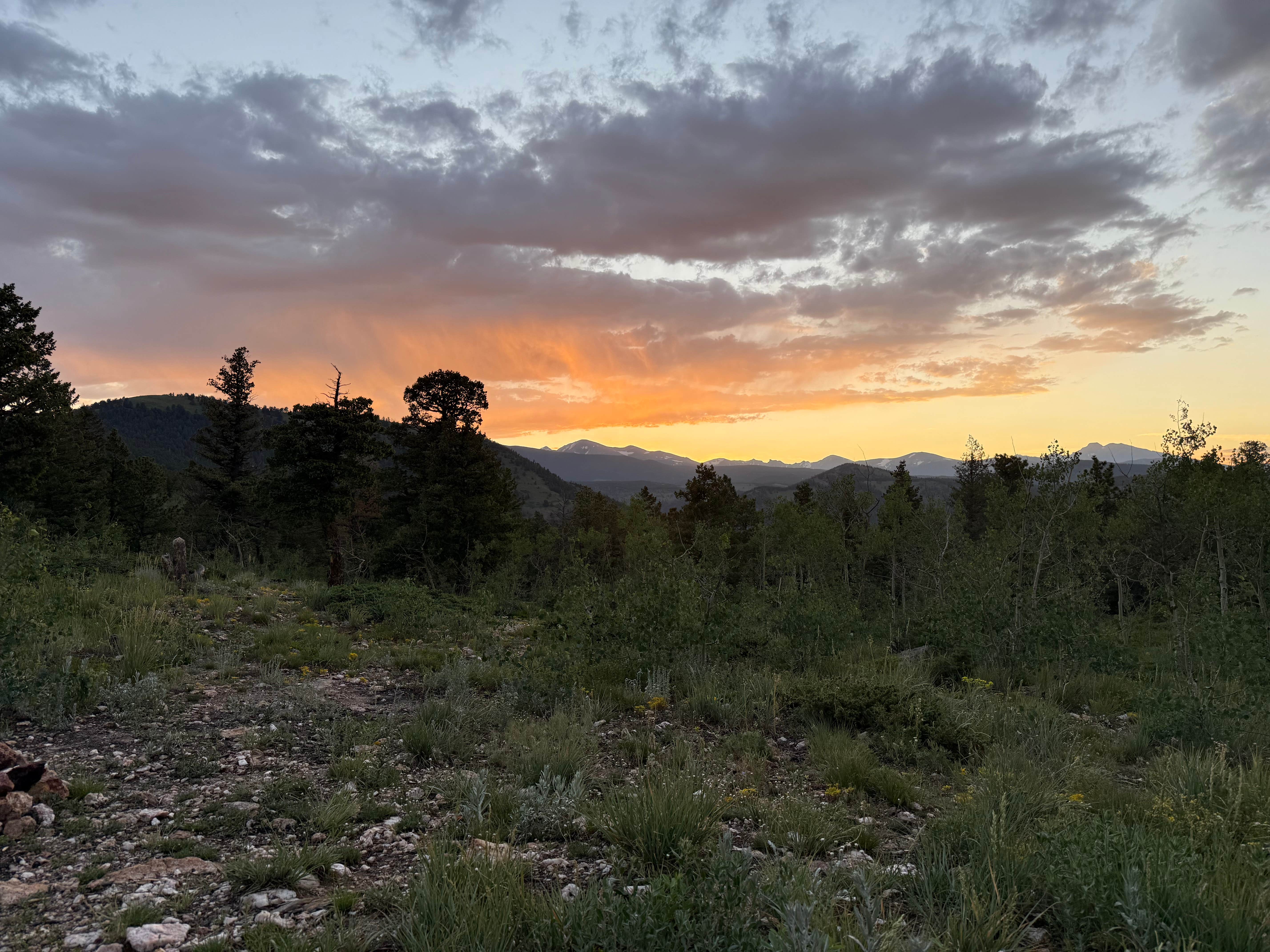 ashley L.'s photo of a dispersed camping area at Farewell Gulch near Henderson, CO
