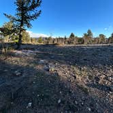 Review photo of Farewell Gulch by Carly R., April 2, 2026