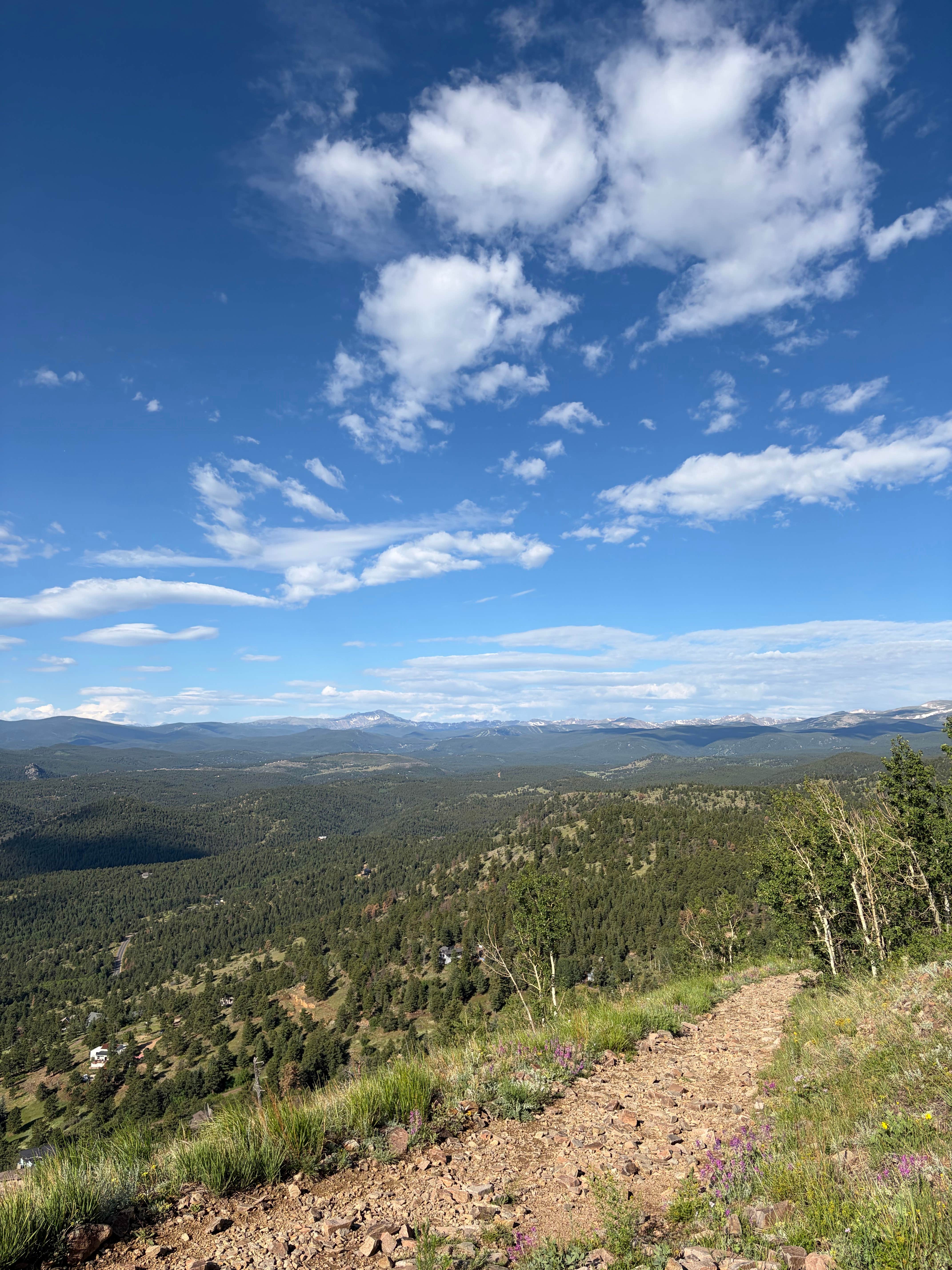 Riley W.'s photo of a dispersed camping area at Farewell Gulch near Denver, CO