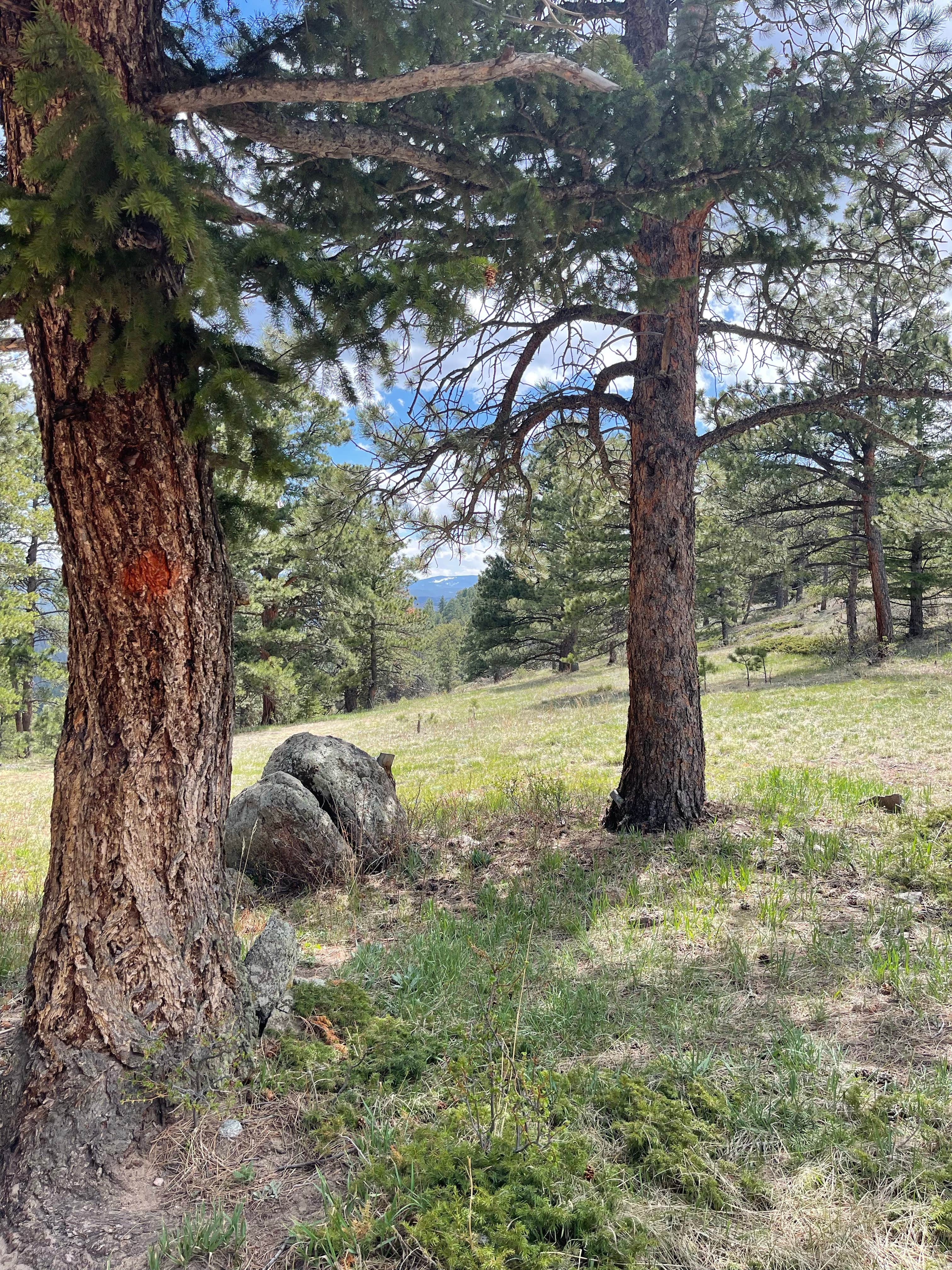 Camper-submitted photo at Farewell Gulch near Boulder, CO
