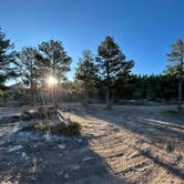 Review photo of Farewell Gulch by Carly R., April 2, 2026