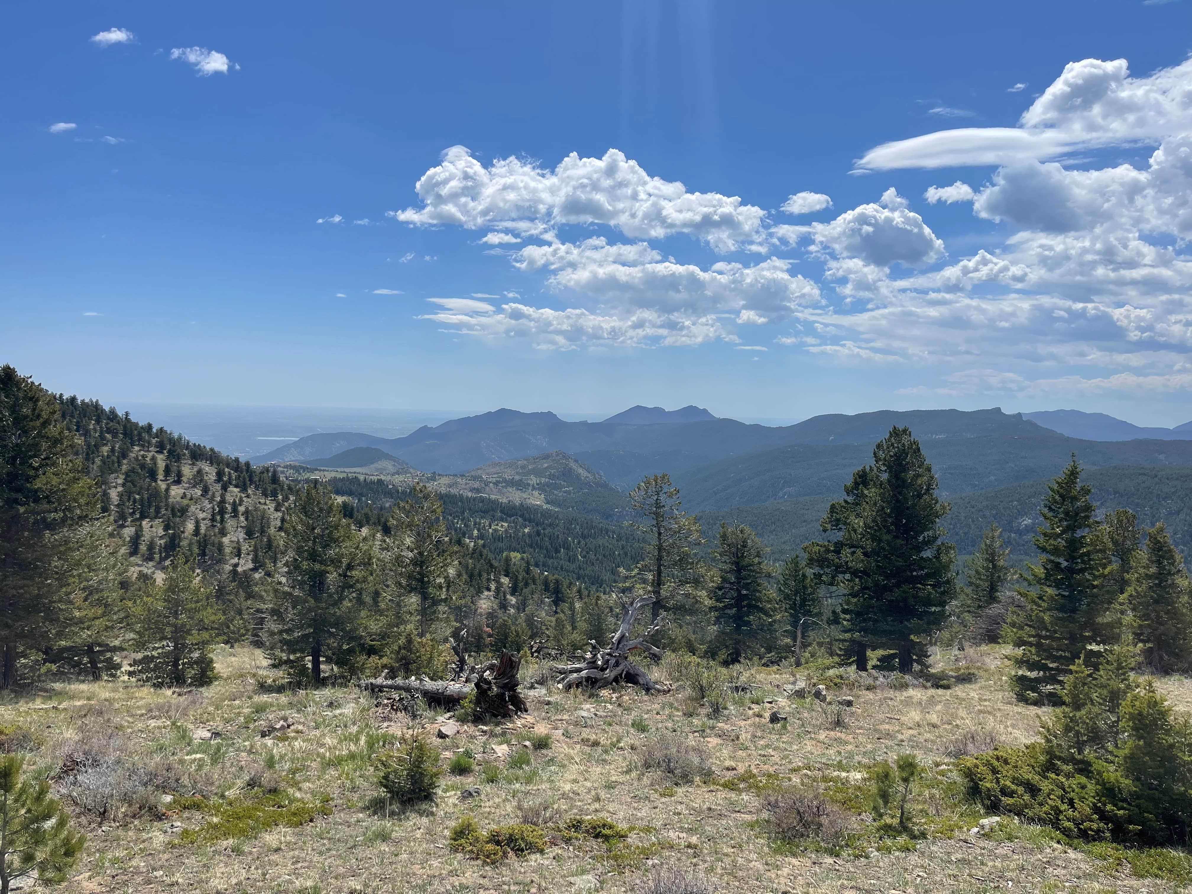Camper submitted image from Farewell Gulch - 5