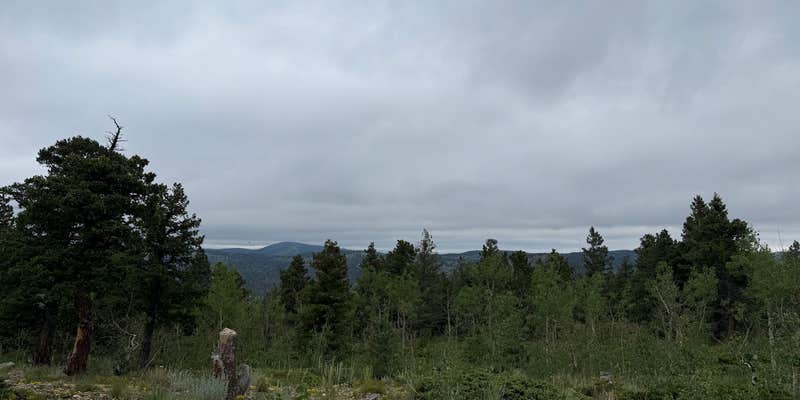 Camper submitted image from Farewell Gulch