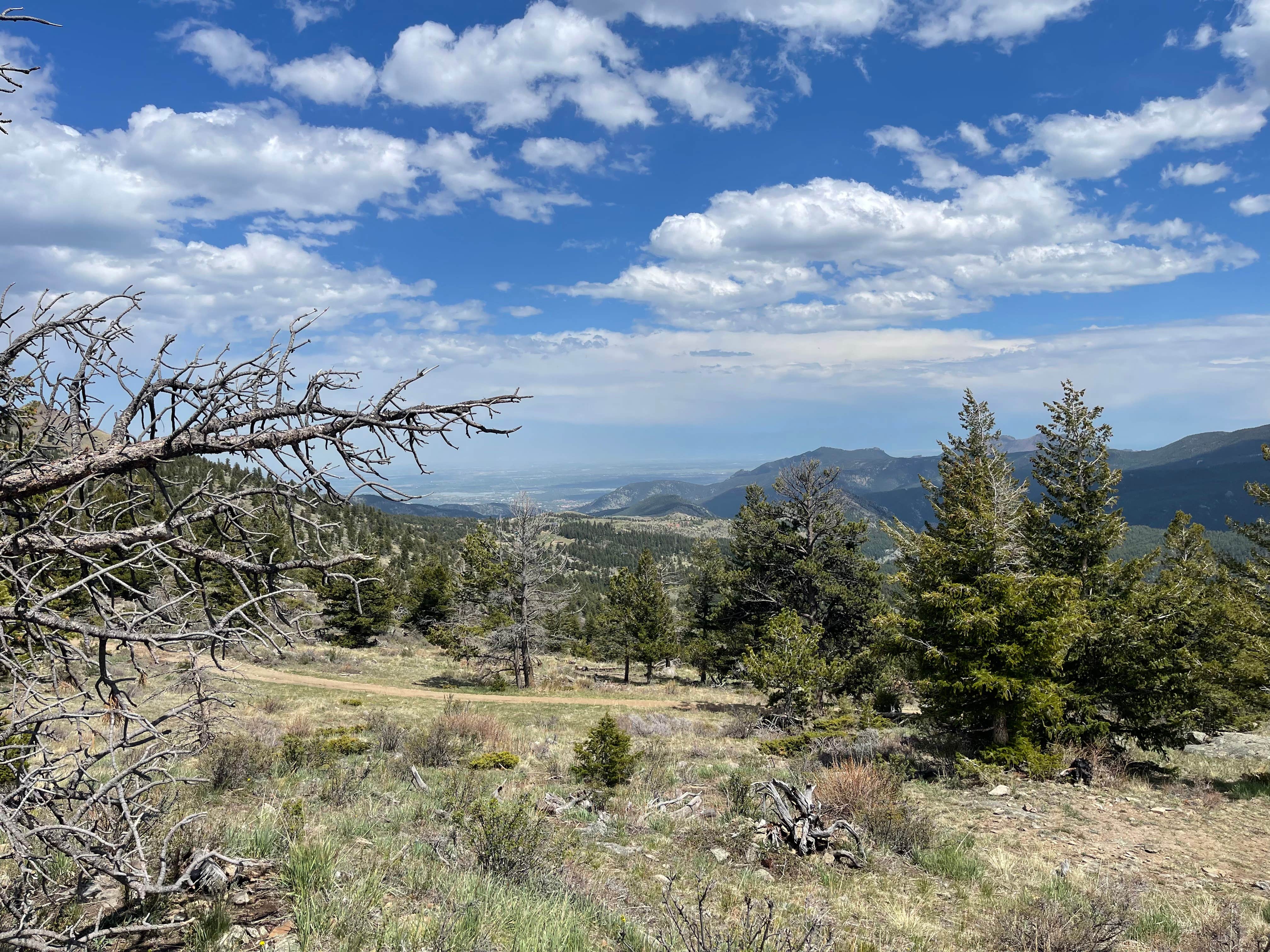 Ceran St. Vrain Trail Dispersed Camping Jamestown CO