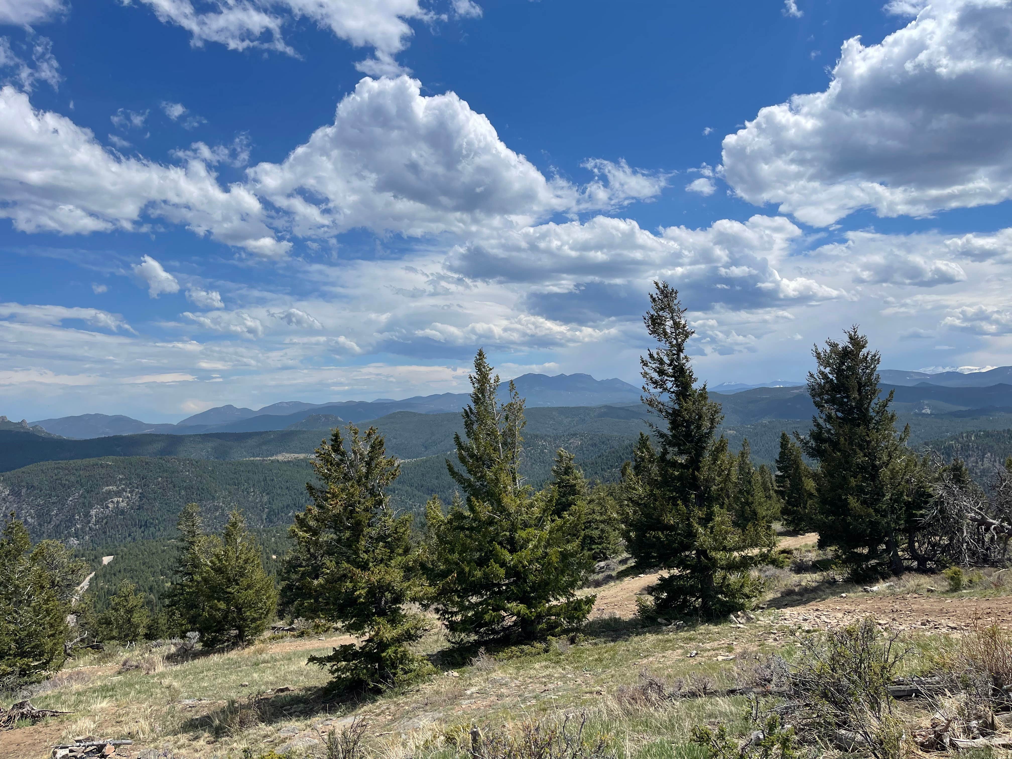 J  .'s photo of a dispersed camping area at Farewell Gulch near Berthoud, CO