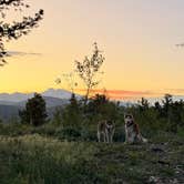 Review photo of Farewell Gulch by ashley L., June 30, 2025