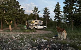 ashley L.'s photo of camping with pets at Farewell Gulch near Longmont, CO