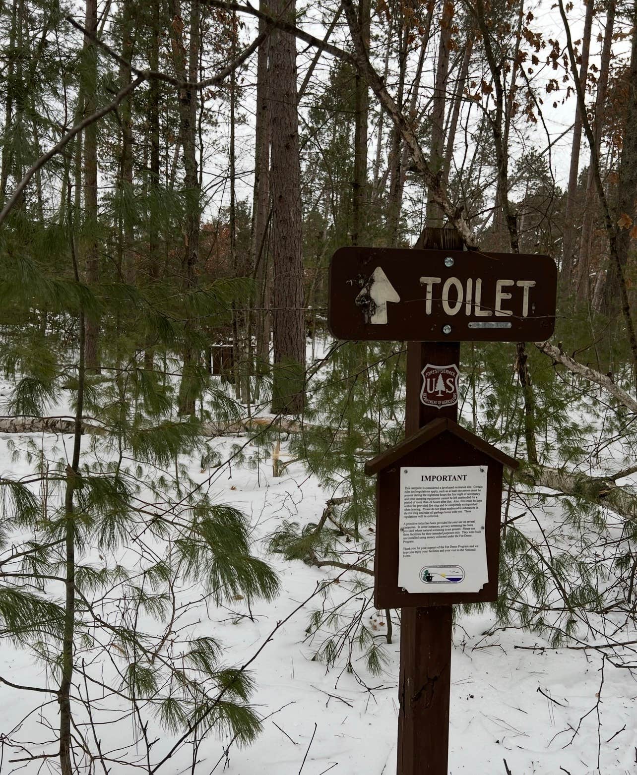 Camper-submitted photo at Farr Lake Wooded Camp near Lakewood, WI