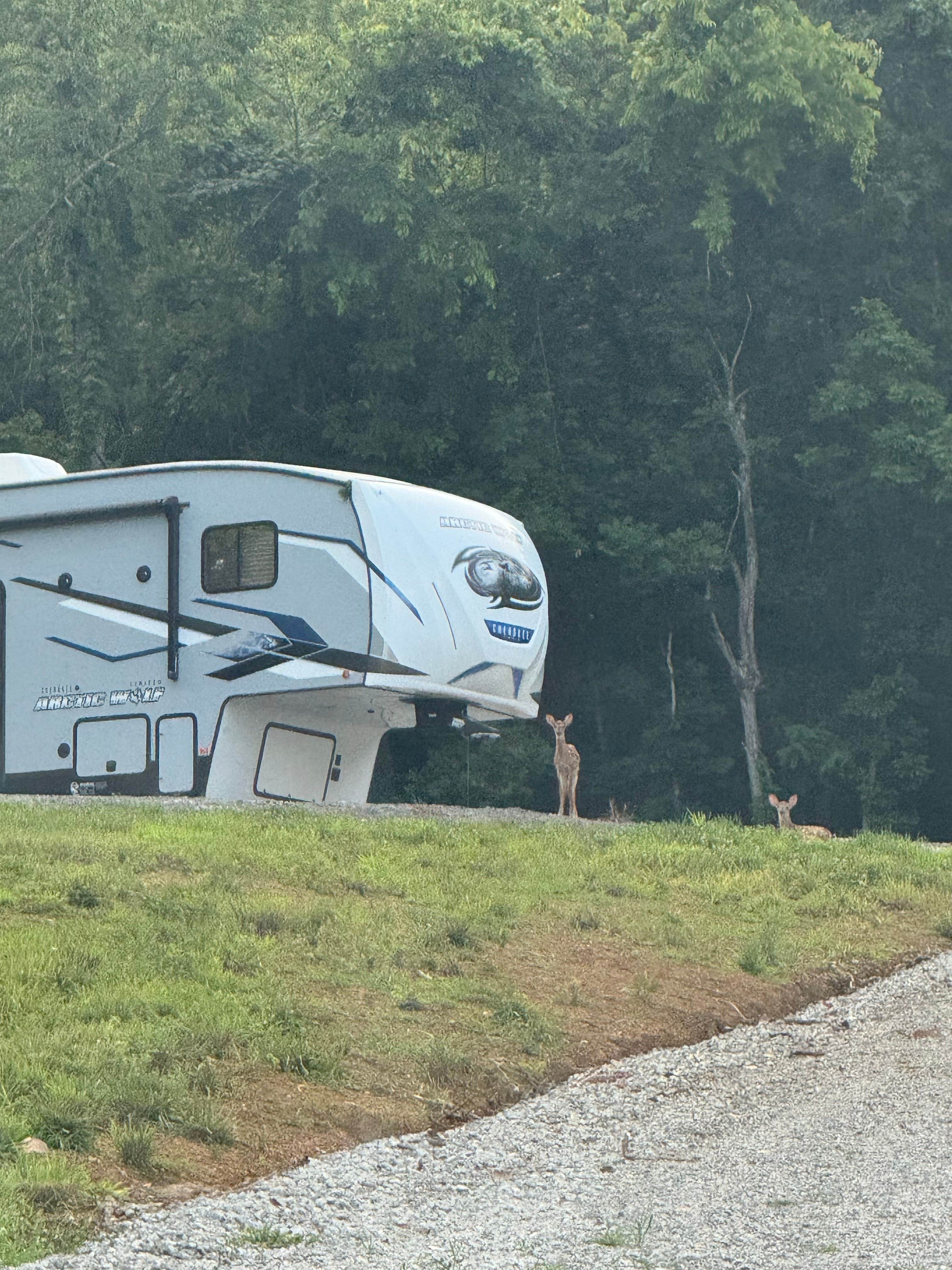 Hannah's photo of rv camping at Farver Acres near Nitro, WV