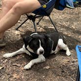 Review photo of Father Adamz Campground — South Cumberland State Park by Aidan G., May 9, 2025