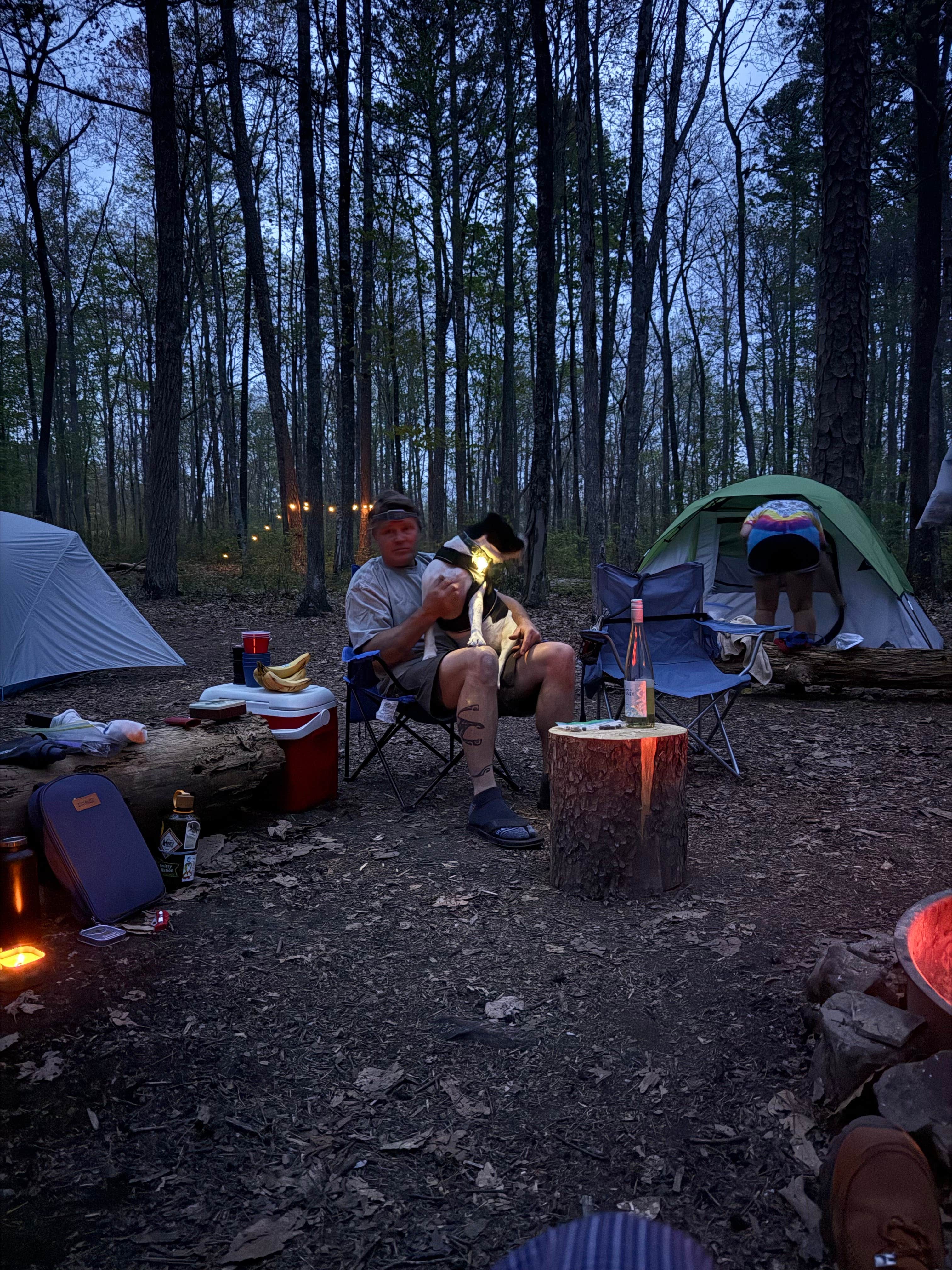 Aidan G.'s photo of tent camping at Father Adamz Campground — South Cumberland State Park near Signal Mountain, TN