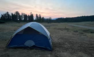 Katerina G.'s photo at Fawn Gulch Rd. Dispersed Camping near Chromo, CO