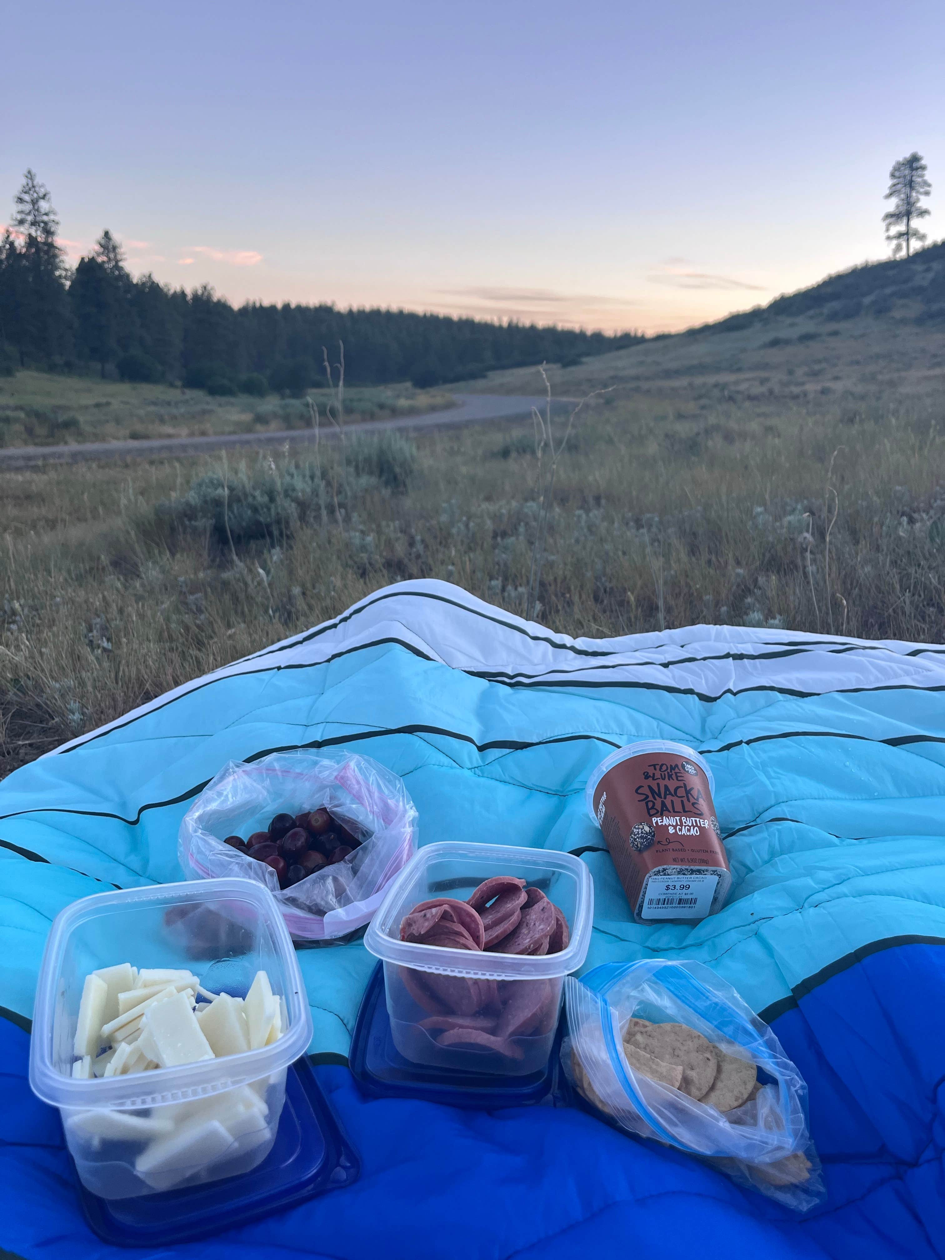 Camper-submitted photo at Fawn Gulch Rd. Dispersed Camping near Pagosa Springs, CO
