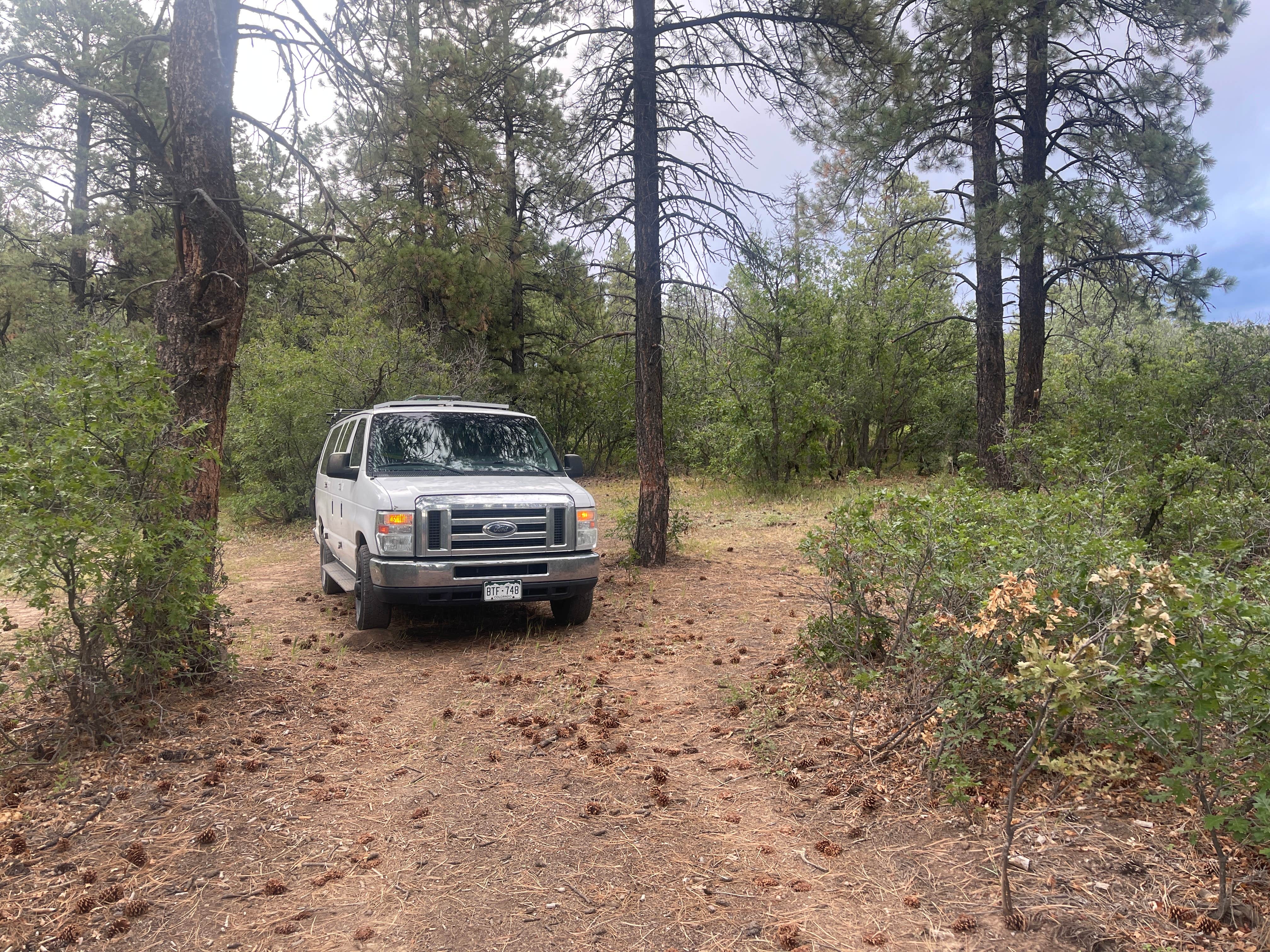 Camper-submitted photo at Fawn Gulch Rd. Dispersed Camping near Pagosa Springs, CO