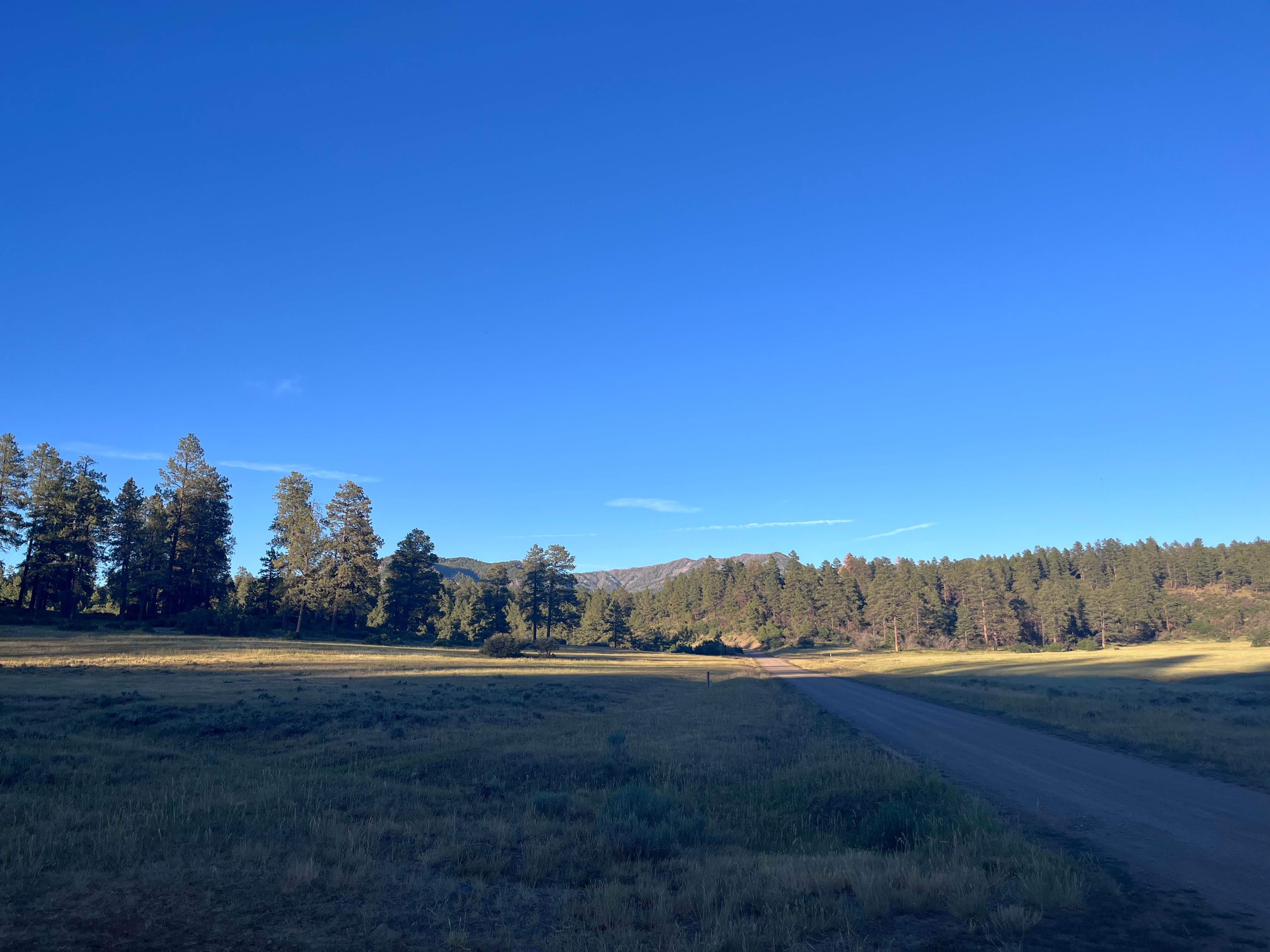 Camper-submitted photo at Fawn Gulch Rd. Dispersed Camping near Pagosa Springs, CO