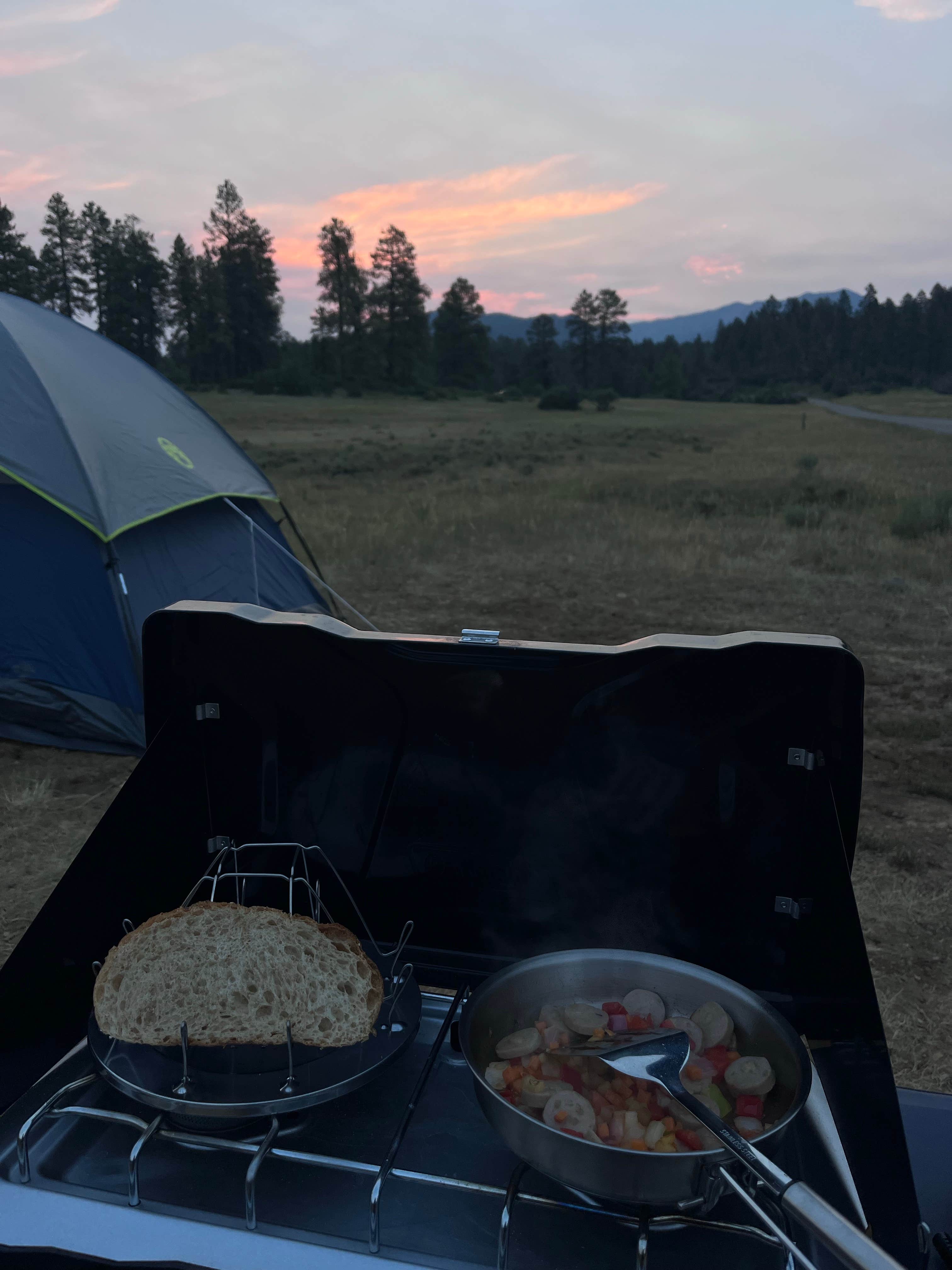 Camper-submitted photo at Fawn Gulch Rd. Dispersed Camping near Pagosa Springs, CO
