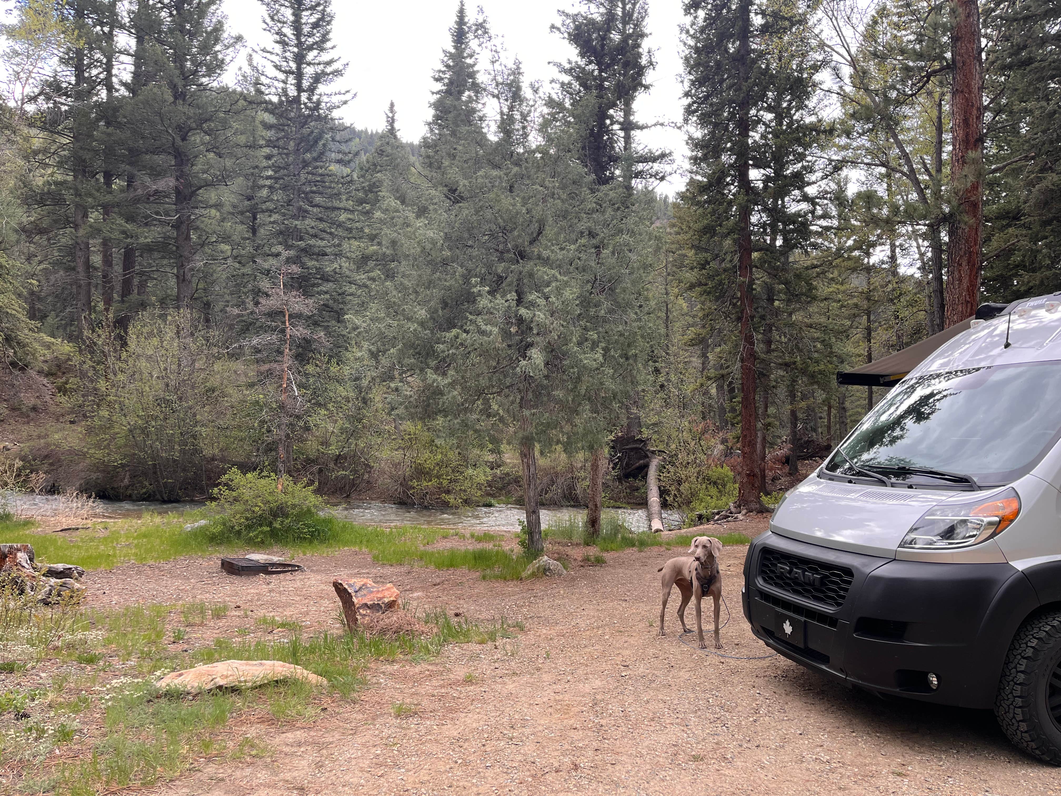 Julie F.'s photo of camping with pets at Fawn Lakes Campground near Costilla, NM
