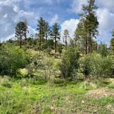 Review photo of FDR 373 Thumb Butte Loop by Cody P., October 3, 2025