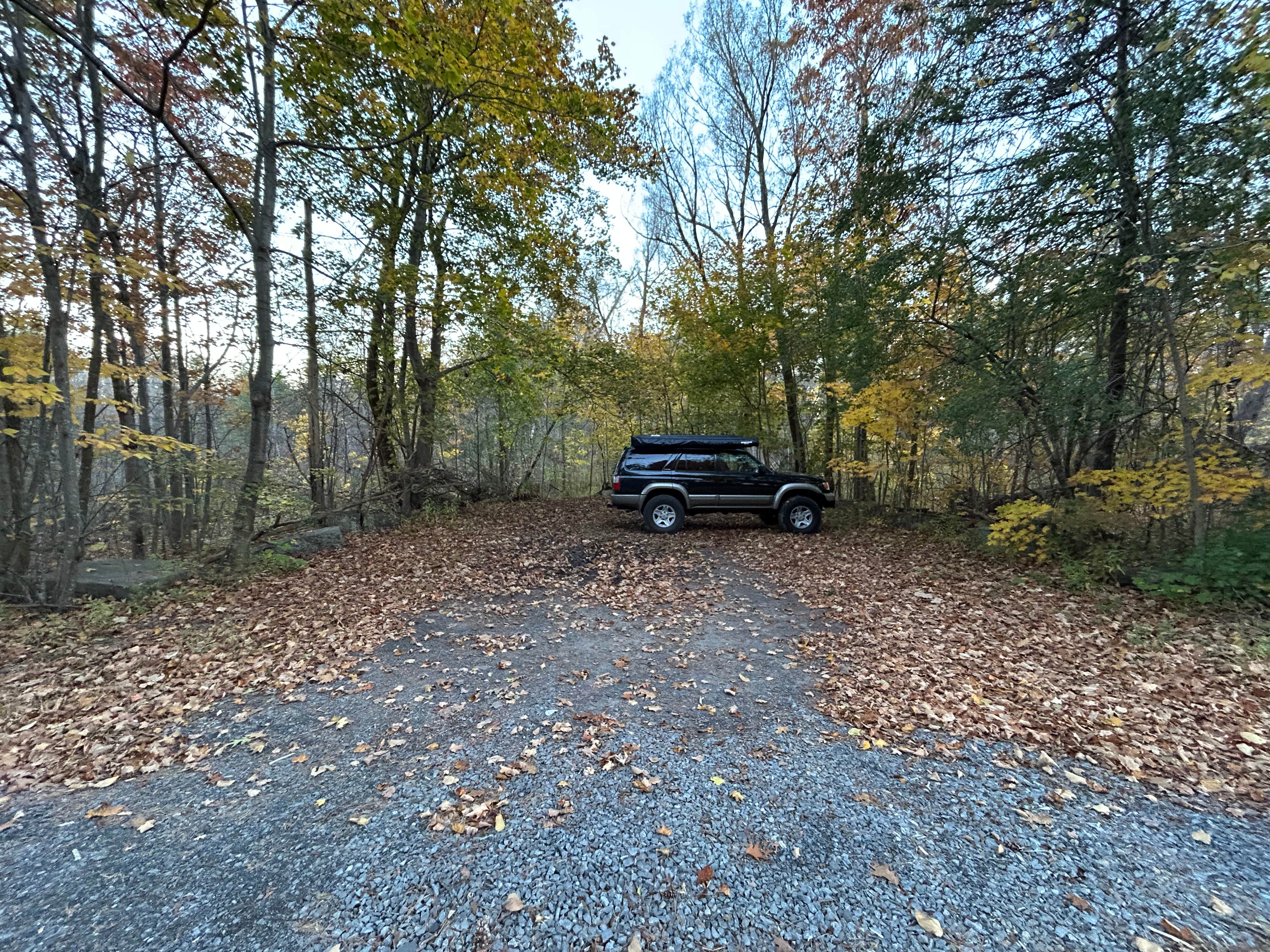 Camper-submitted photo at Featherstonhaugh State Forest Site near Round Lake, NY