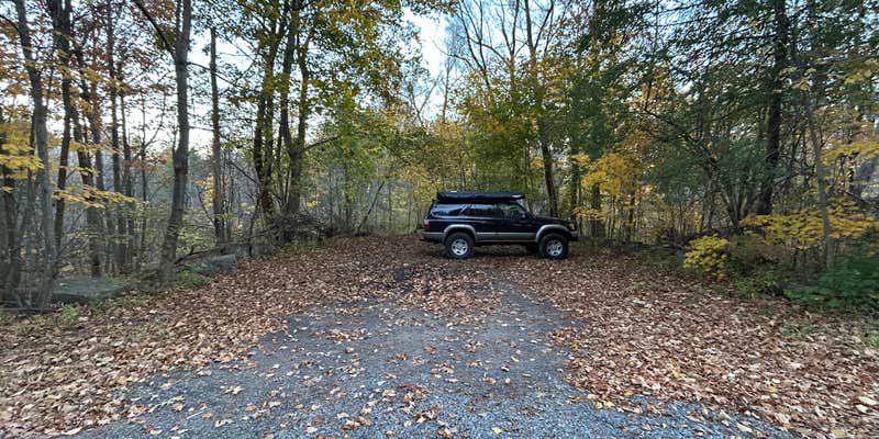 Camper submitted image from Featherstonhaugh State Forest Site