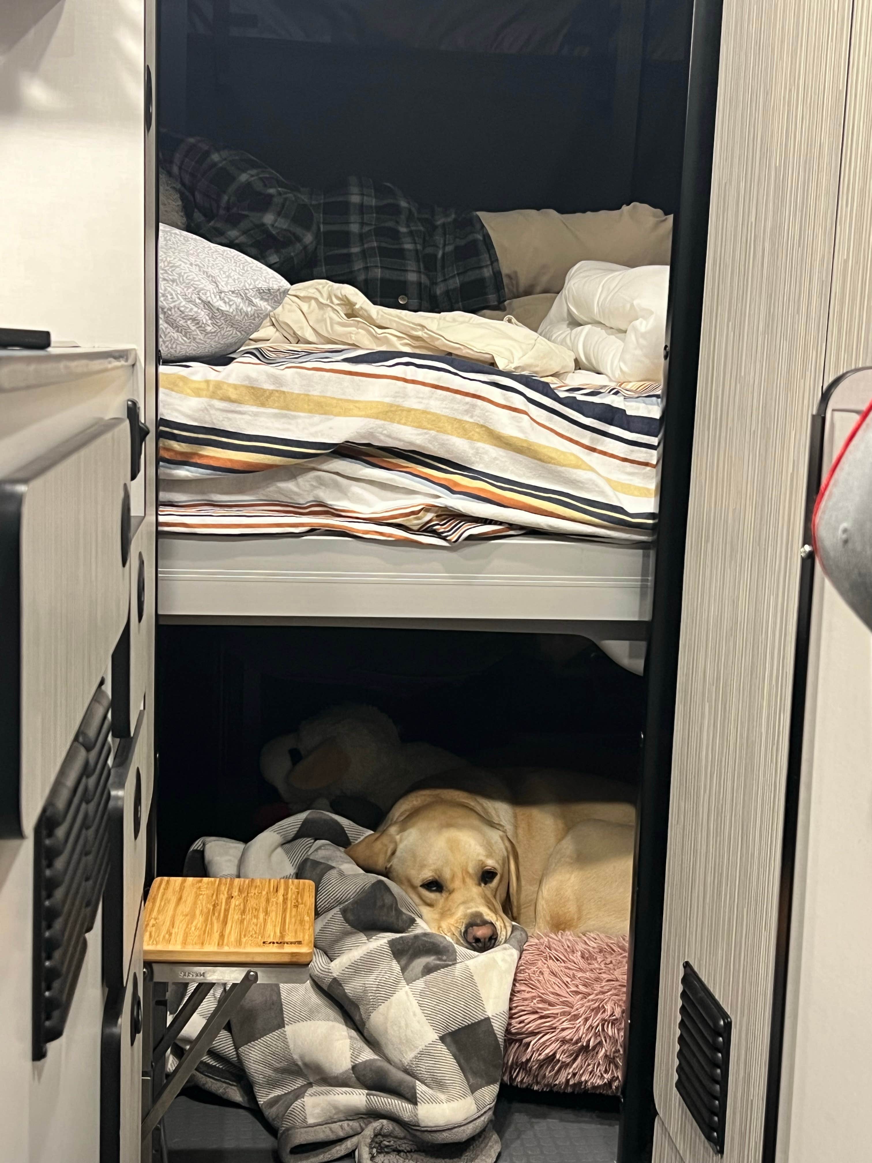 Jennifer N.'s photo of camping with pets at Fern Lake Campground near Paducah, KY