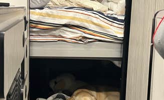 Jennifer N.'s photo of camping with pets at Fern Lake Campground in Kentucky