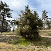 Review photo of Fern Valley Retreat by Winter T., April 16, 2026