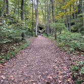 Review photo of Group Campground — Ferne Clyffe State Park by Shana D., November 1, 2023