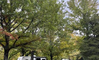 Shana D.'s photo of rv camping at Group Campground — Ferne Clyffe State Park near Pomona, IL