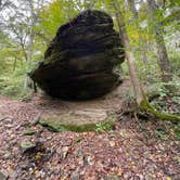 Review photo of Group Campground — Ferne Clyffe State Park by Shana D., November 1, 2023