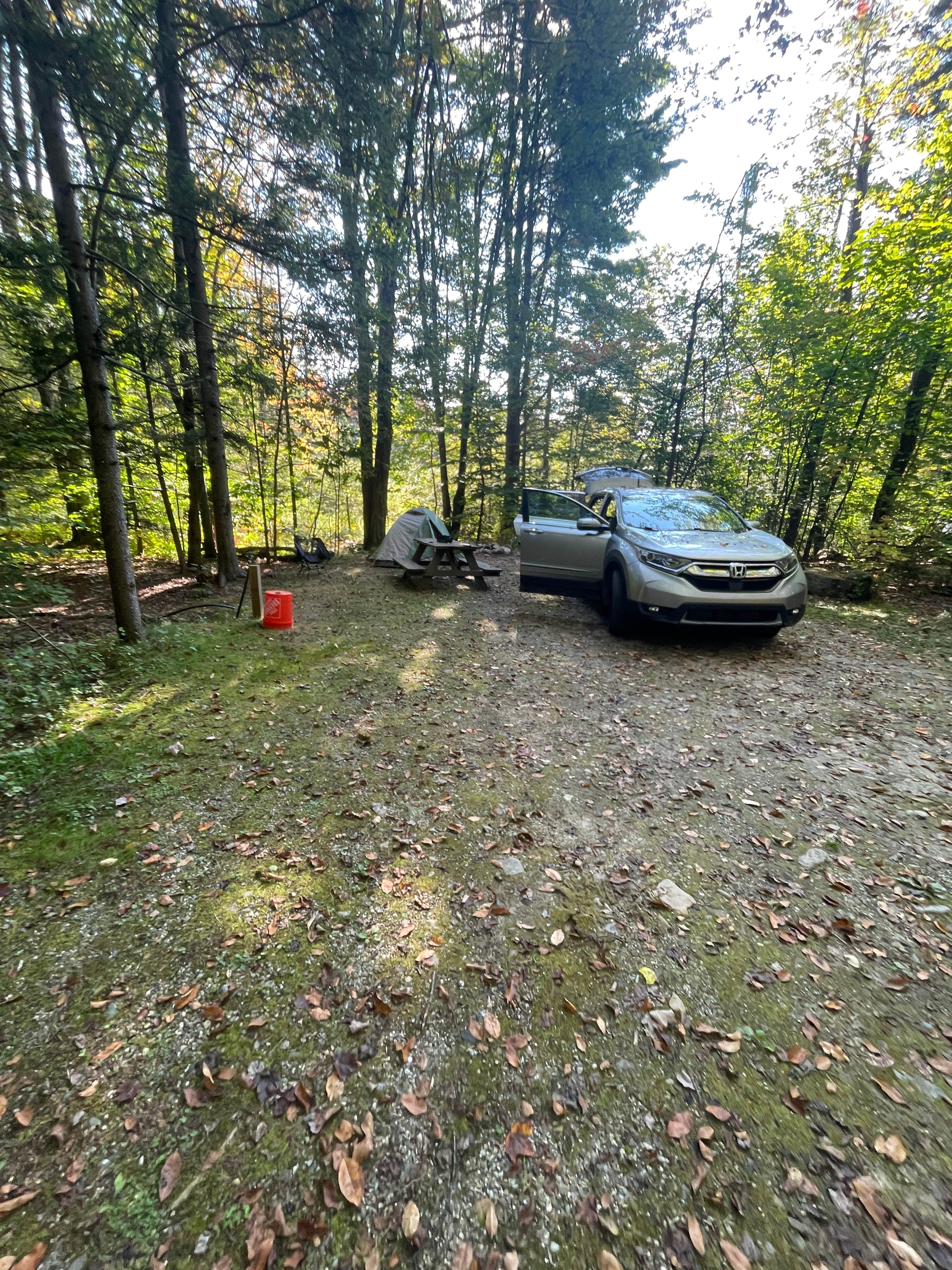 Camper-submitted photo at Fernwood Forest Campground near West Stockbridge, MA