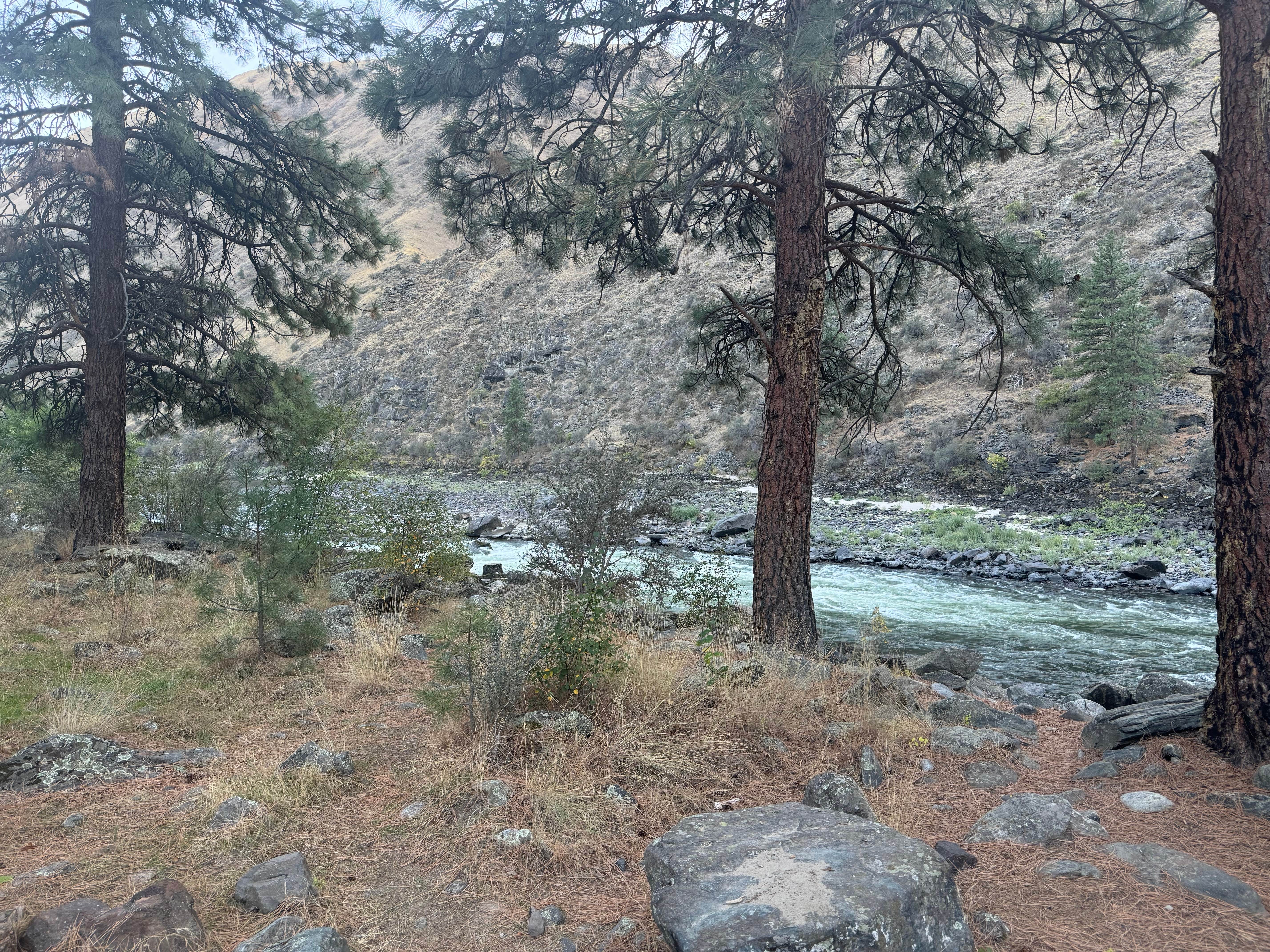 Camper-submitted photo at Fiddle Creek Recreation Site near Riggins, ID