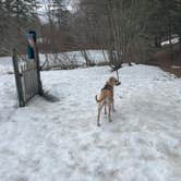 Review photo of Field and Stream RV Park by Alizé B., May 21, 2026