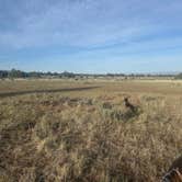 Review photo of Fillmore Wildlife Management Area by David W., May 21, 2026